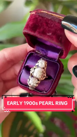 An incredible antique pearl ring from the early 1900s! #mjvjewelry #vintagejewelry 