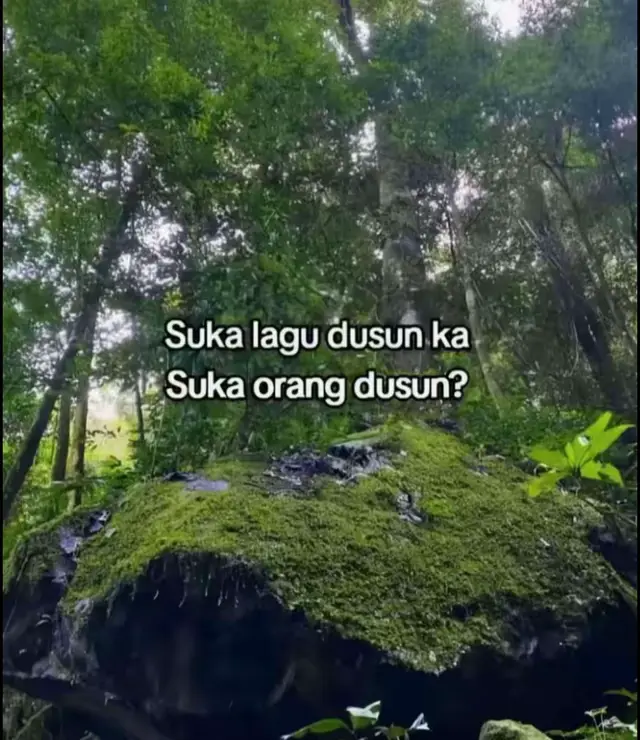 hi kamuch seh #dusun #sabahan #trend 