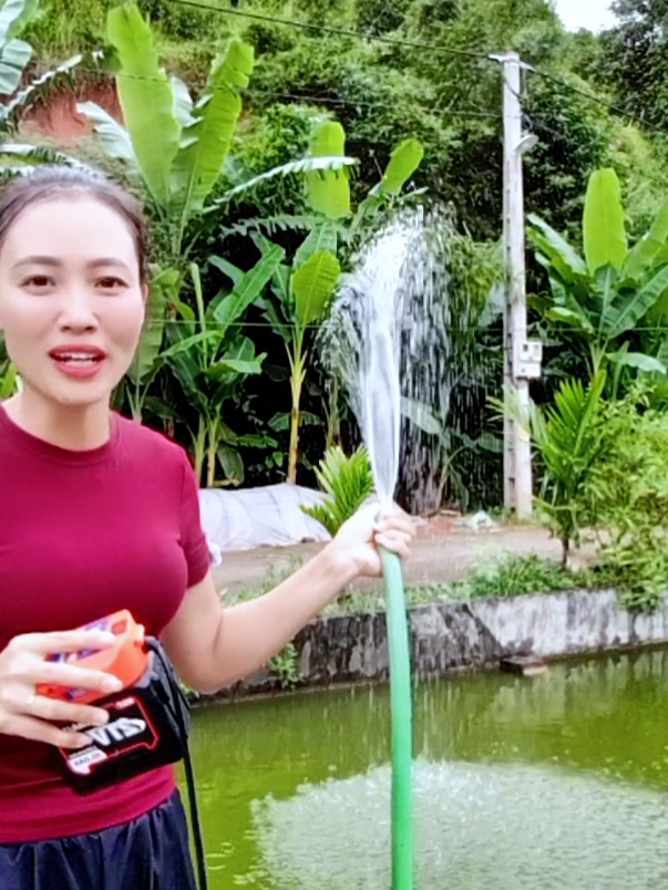 một cái bơm nước chìm bằng động cơ đồng dùng để hút nước dọn dẹp bể cá bơm nước vào bể bơi hay là tưới cây cảnh rau tiện lợi mà không phải xách xô bê chậu#bomchim #bomchim #_phamha2 