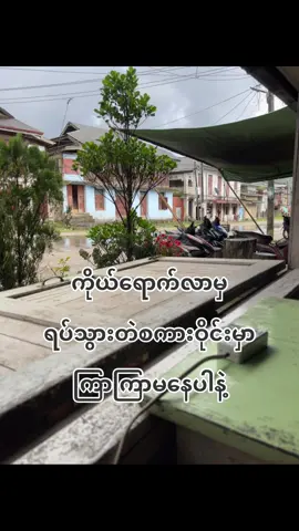#foryou #foryoupage #tiktok #တစ်ယောက်ထဲနေတက်အောင်ကြိုးစား❤️ #catsoftiktok 