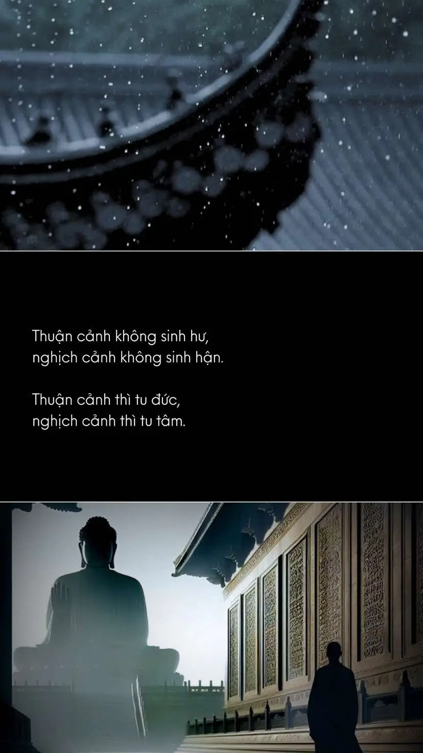 #manhan_22 #phatphapnhiemmau 