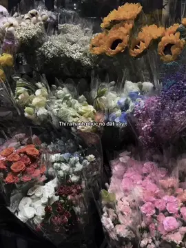 #huatuan_08 #_quan_1108🧸 