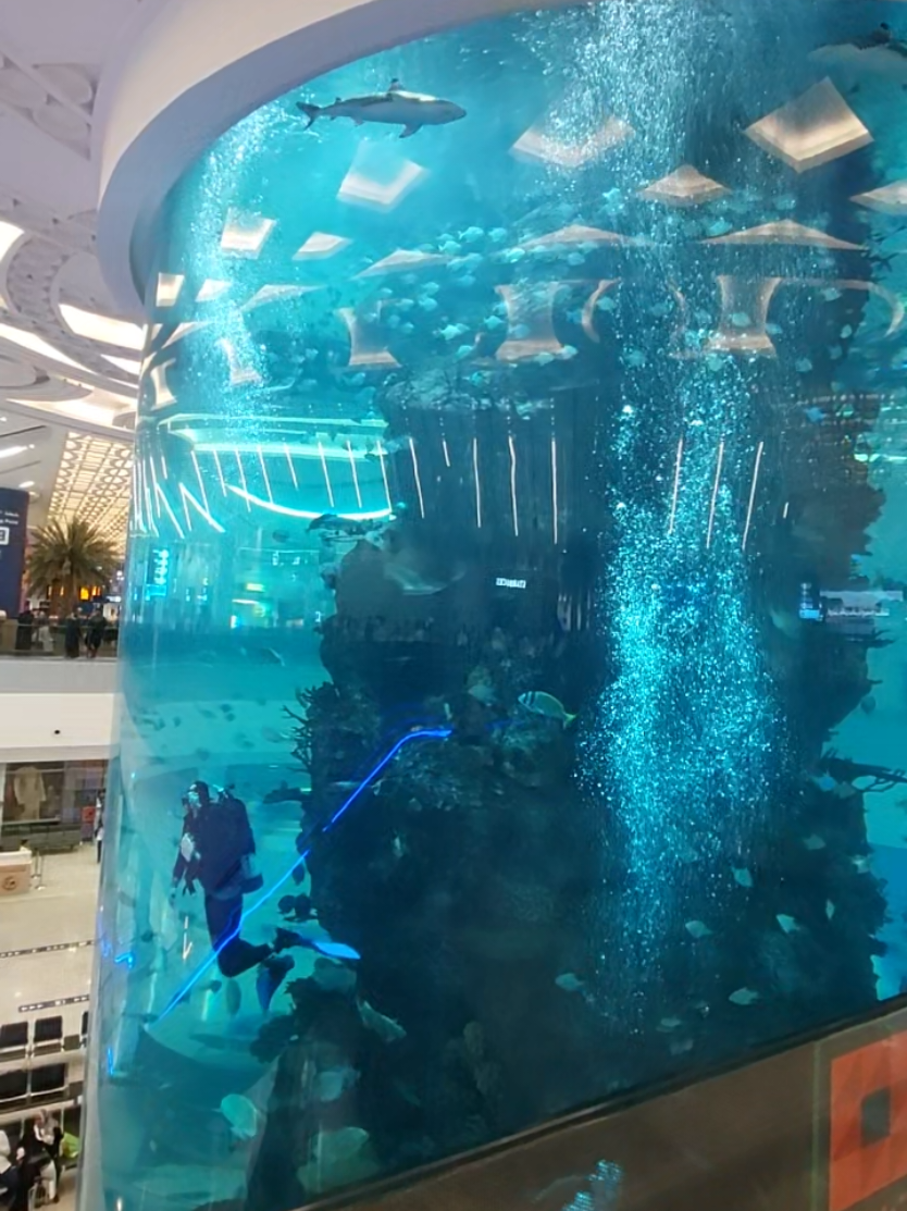 صندوق مغلوق صرت😅#🇸🇦🇩🇿 #سعودية #جدة_الان #ترند_تيك_توك #الشعب_الصيني_ماله_حل😂😂 