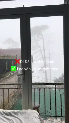 Đi Đà Lạt thua vua chúa đúng cái ngai vàng #3phome #dalathomestay #homestaydalat 