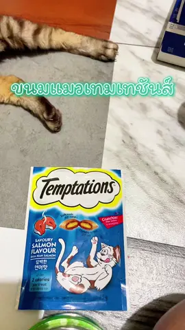 ขนมแมวเทมเทชันส์#ขนมแมว #อาหารแมว #ขนมแมวเทมเทชันส์ #temptations #แมว 