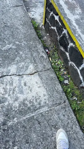 ⛰️😍#telomoyomountain #gunungtelomoyo #viadalangan 