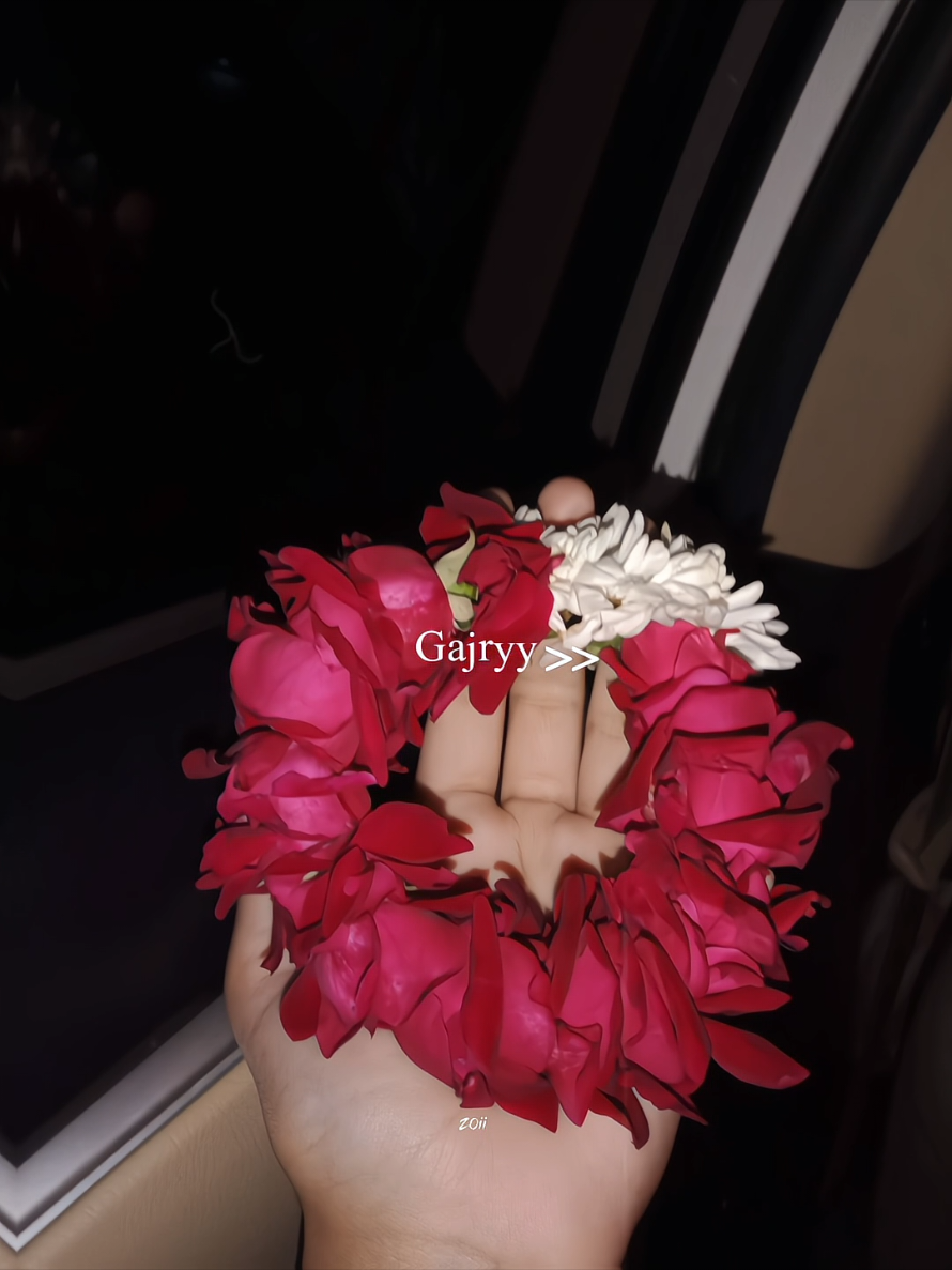 Gajryy>>♥️ . . . #fyp #asthetics #gajry #viewsproblem 