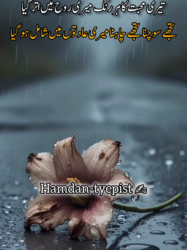 #hamdan🥀❤️🥀❤️  #foroupage  #viralvideo  #tiktok #team 