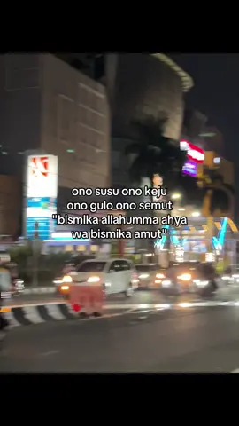 ayo turuu