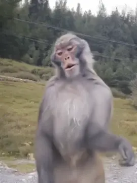 #pyfffffffffffffffffffffffffffffffff 