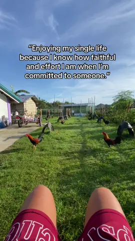 Kaya sa manok nlng muna tayo🐔#jjfatherandsonGF #batangsabungero❤️🐓 #fyppppppppppppppppppppppp 