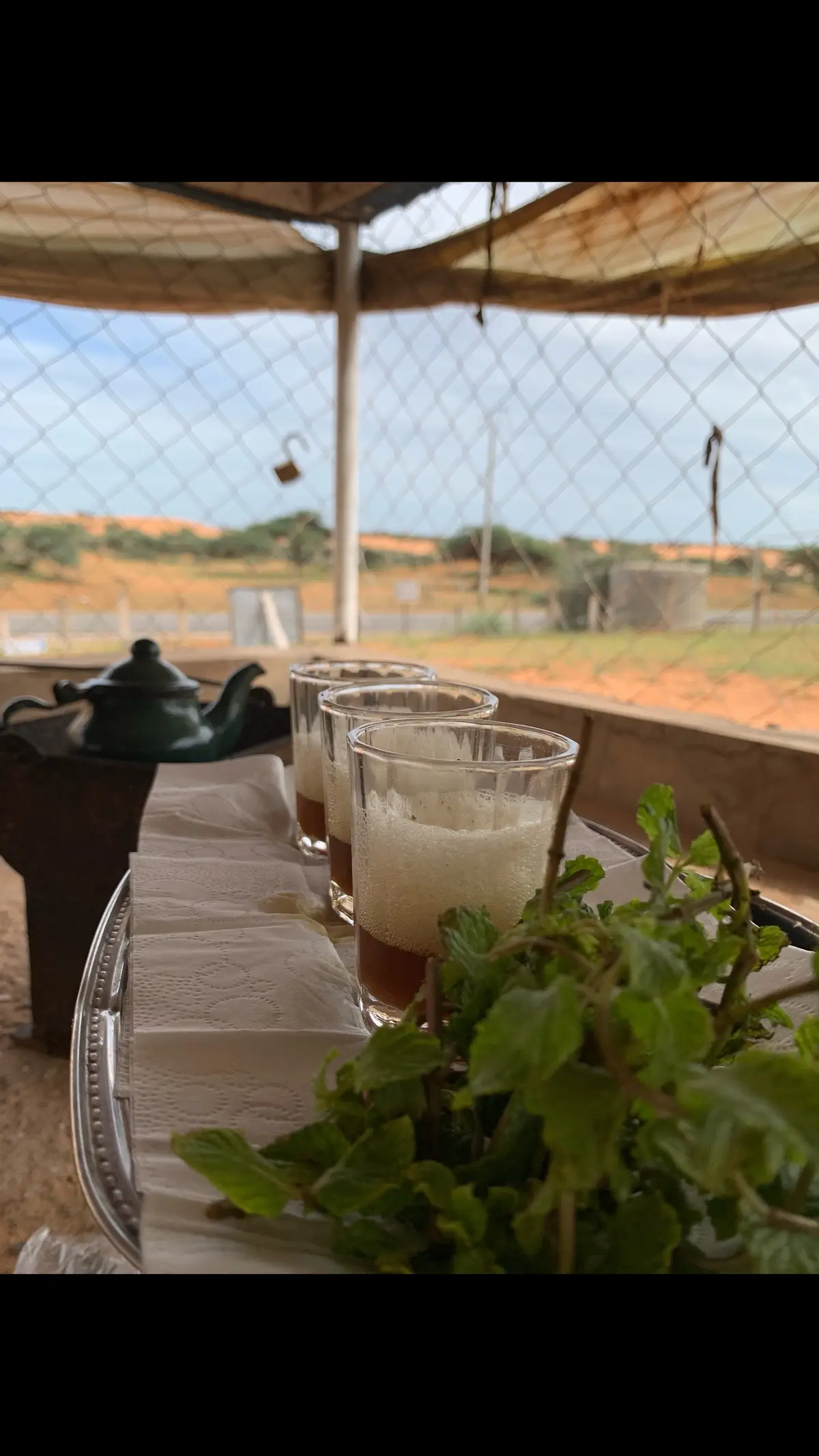 #بعدستي📸 #خريف2025❤️ 