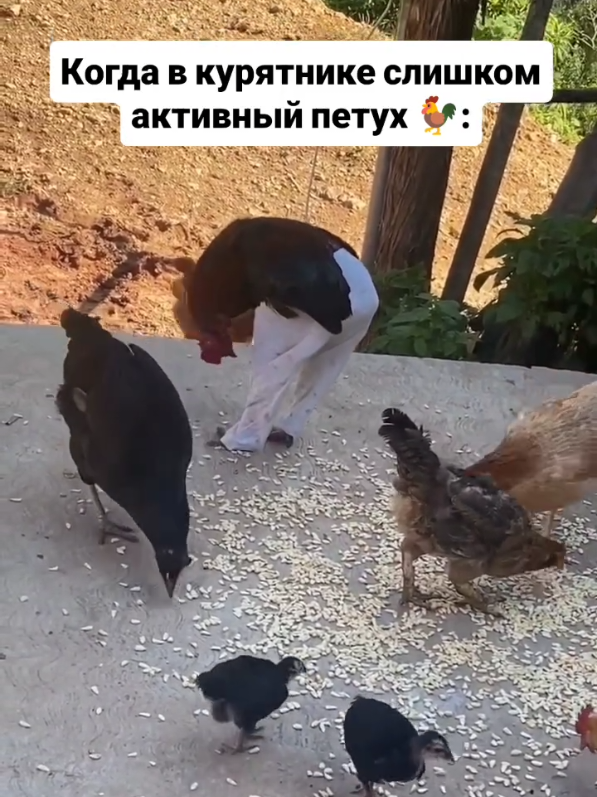 #Repost  —— 😅😂🤣