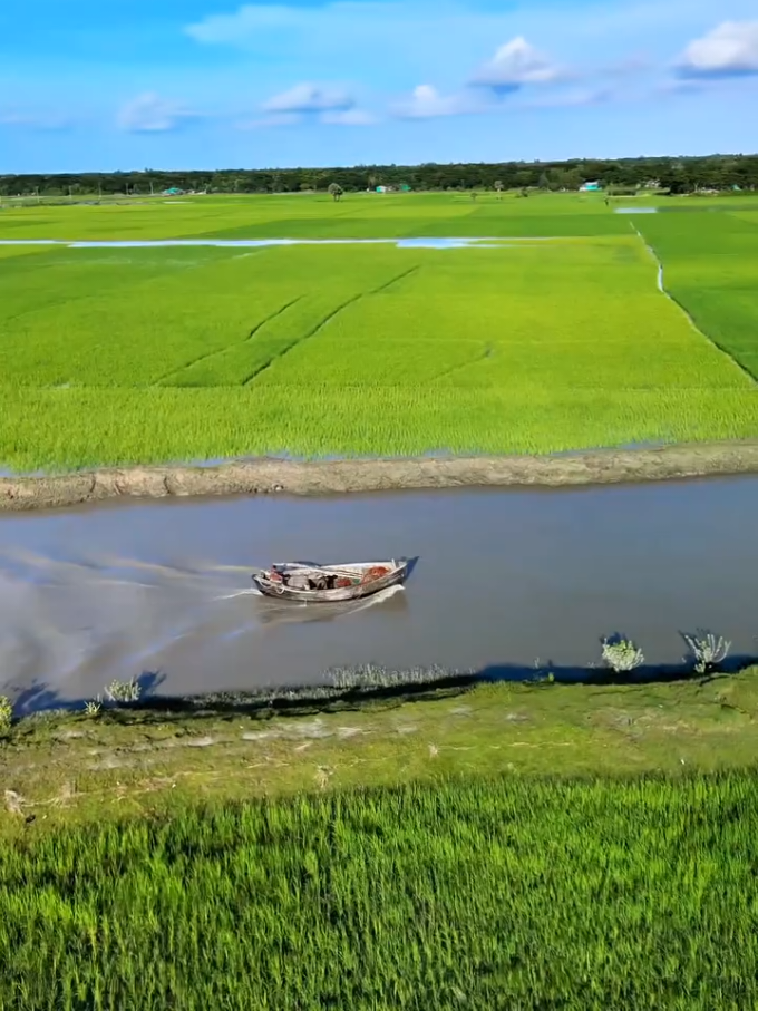 বাংলাকে ভালবাসি গ্রামীন জীবন.!🇧🇩 #foryoupage #fyp #viralvideo #unfrezzmyaccount #bdtiktokbangladesh 🇧🇩