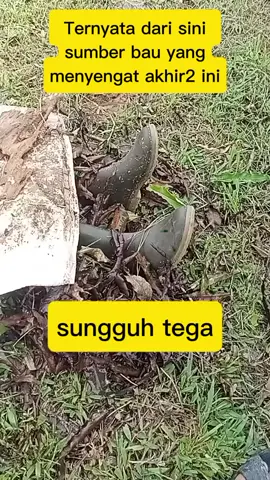 Bau menyengat yg mengheboh kan #fyppppppppppppppppppppppp #fypage #virall #viraltiktok 