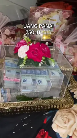 MENYALA UANG PANAINYA😍😭#uangpanai #pengantinviral #fypage 