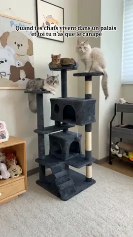 🎉 Petits prix GROS CADEAUX ✨🎈 🌟 Découvrez les fantastiques offres sur Temu 🙌 📷 🎈 🔍Obtenez le vôtre avec le code fdc2483. #temu #shoptemu #temufinds #onlineshopping #bonplan #haul #style #fashion