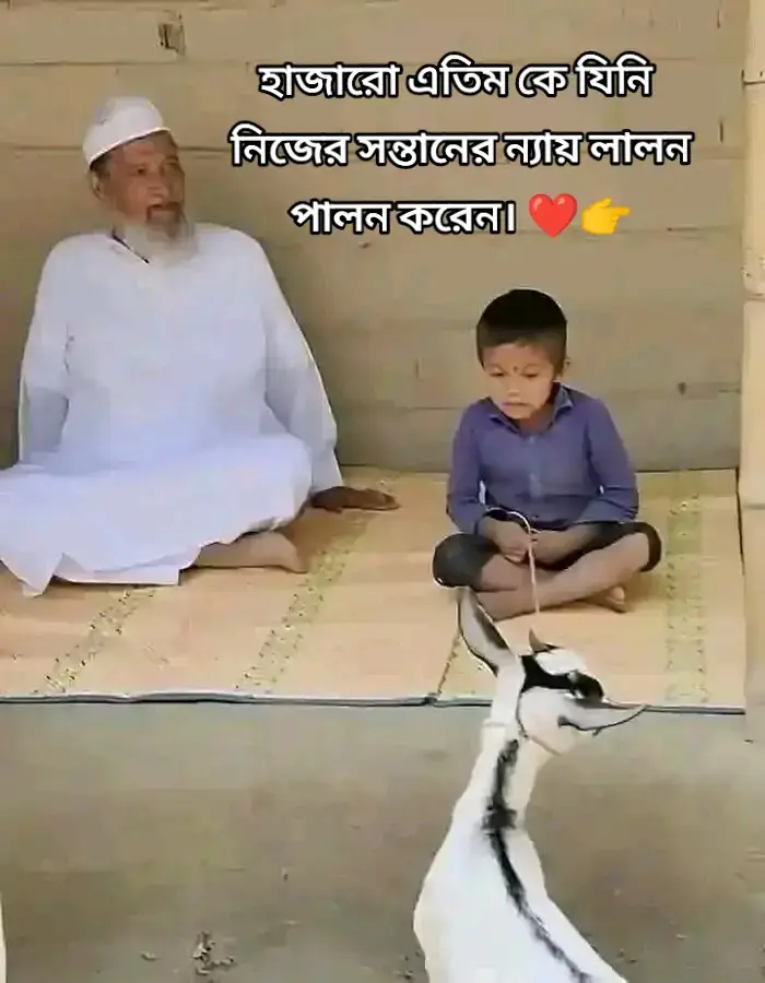 হাজারো এতিম কে যিনি নিজের সন্তানের ন্যায় লালন পালন করেন।  তিনি আমাদের বড় ছাহেব 👉 ইমাদ উদ্দিন চৌধুরী ফুলতলী || বারাকাল্লাহু ফি হায়াতি বড় ছাহেব। ❤️🕋 #ফুলতলী #fultoli #ইনশাআল্লাহ_যাবে_foryou_তে #ফুলতলী_ছাহেব_বাড়ী #boyton07 @Mustofa Ahmed 
