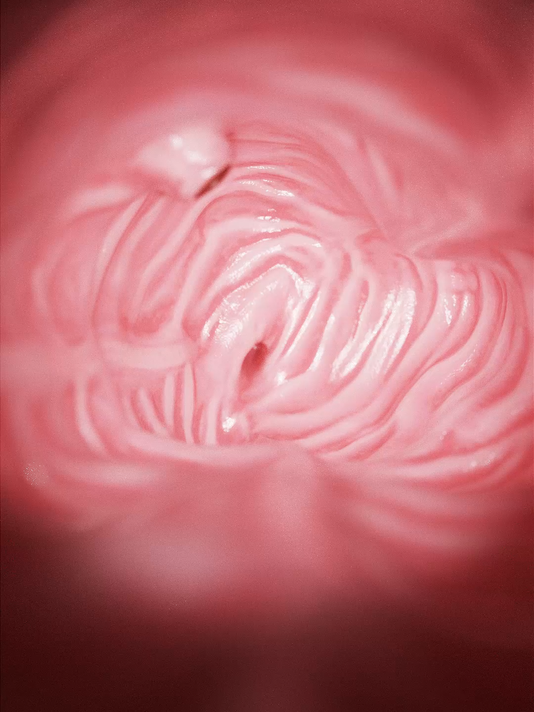 The large intestine finishes digestion by turning liquid into solid. It absorbs water, hosts helpful bacteria, and compacts waste into stool — moving it along with muscle contractions. This 3D animation shows the process in action. Based on SciePro’s 3D anatomy models. Available for B2B licensing — link in bio. #science #medical #meded #3d #3dmodel #zbrush #sciart #medart #medstudent #anatomy #animation #scicomm #med #largeintestine #digestion #gastroenterology