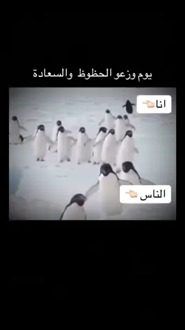#الشعب_الصيني_ماله_حل😂😂 #😂😂😂😂😂   