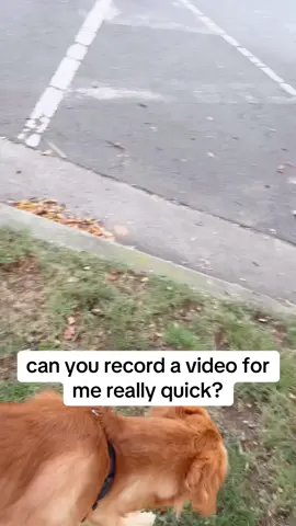 Wyd if this happens to you? 