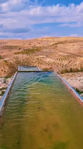 Burda birileri ile sidik yarışı iddiam yok öyle bir şeye ihtiyac duyarsam Sadace seyirci Olarak kalırsınız Not sadece üzerine alınması gerekenler alınsın gerisi zaten Seviliyor CANLAR 🤗