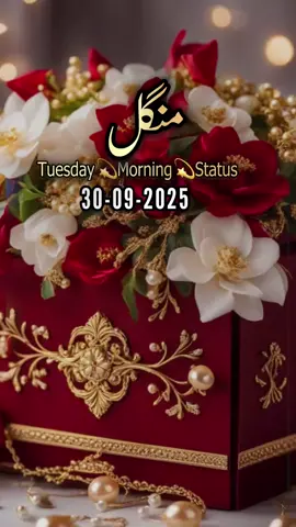 Good Morning Subah Bakhair صبح بخیر,Status,Tuesday🤲❤️🥀🤲❤️💞🌹🌅.                       #goodmorning#foryoupagе#fyp#standwithkashmire#صباح_الخير 