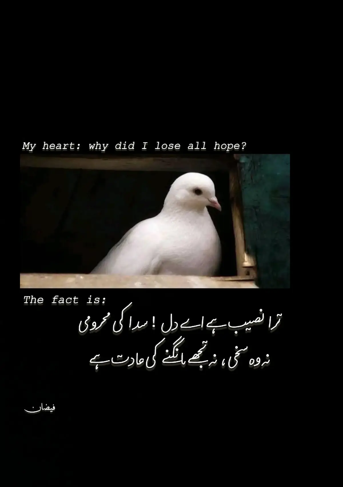 وہ کس حال میں ہے مجھے اس سے غرض نہیں۔ (وہ ٹھیک ہونا چاہیے ورنا میں مر جاؤں گی)  وہ کیا کرتا ہے اس سے مجھے کوئی فرق نہیں پرتا۔  (وہ کیا کرتا ہے ہر چیز سے فرق پرتا ہے)  وہ کسی سے بھی ملے یہ میرا مسئلہ نہیں ہے۔  (وہ کسی سے ملے یہی سب سے برا مسئلہ ہے)  میں دوبارہ اسکا سامنا نہیں کرنا چاہتی کبھی بھی۔  (ایک بار ایک بار بس وہ مل جائے مجھے)  میں اسے کبھی بھی یاد نہیں کرتی وقت نہیں اتنا ۔ (اسے یاد کرنے کے علاوہ کوئی کام نہیں کرتی)  میں نے اسے مکمل طور پر فراموش کر دیا ہے۔  (میں اگلی کئی صدیاں اسے نہیں بھول سکتی)  اسکے چھوڑ جانے سے کوئی خاص فرق نہیں پرا ۔  (وہ گیا ہے تو سب اپنے ساتھ لے گیا ہے)  وہ مل بھی جائے تو اس سے کیا ہی ہو جائے گا۔  (اگر وو مل جائے تو میں دوبارہ جی اٹھوں گی)  اتنا خاص بھی نہیں وہ کہ یوں غم زدہ ہوا جائے  ۔ (وہ خاص ہے وہ نہیں تو سب خاک برابر)  وہ کوئی اتنا برا خسارا نہیں ہے چھوڑو یار  ۔ (وہ ایسا خسارا ہے کے اسکی جانے کے بعد ماتم کیا جائے)  میں نے اسکا انتظار کرنا چھوڑ دیا ہے۔۔۔ (میں آخری سانس تک اسکی منتظر رہوں گی)  -بنت آدم @بنت آدم جن کی کمینٹ کے بہترین الفاظ #foryoupage #poetry #sad #urdupoetry #lines 