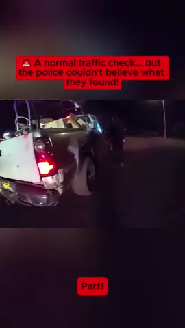 👮‍♂️ Thought it was just a minor violation, but unexpectedly discovered something strange in the car #viral #karen #bodycam #cop #police 