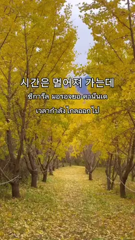 #เทรนด์วันนี้ 그대 없는 하늘#รีวิวเกาหลี#แปลเพลงเกาหลี #รวมคลิปแปลเพลงเกาหลี #koreasong 