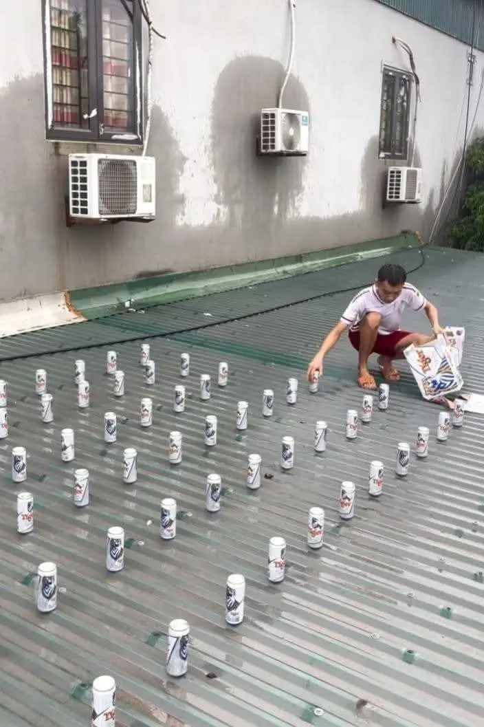 Toàn dân tránh bão !  #hai #capcut #video #test #viralvideo 