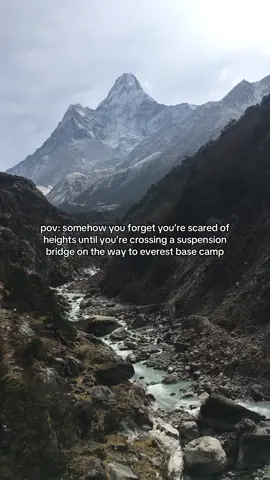 It’s all fine until you realize the yaks are crossing the same bridge. 😳 #everestbasecamp #nepal 