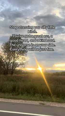 Everything will be as it’s meant to be 🌙 #trusttheuniverse #spiritualtiktok #witchtok #witchtiktok #spiritualtok 