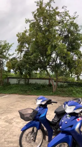 #เด็กแว้นแล้วไงว่ะ😉#เวฟมั้ยจ้ะ🚀 #บอดี้เวฟ💙🚀 #เวฟดิวะ💯 #ดันขึ้นฟีดทีงั้บบ💗😘 