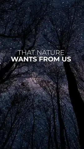 “Question Your Reality” — Free Course in Bio #spiritual #awakening #kabbalah 