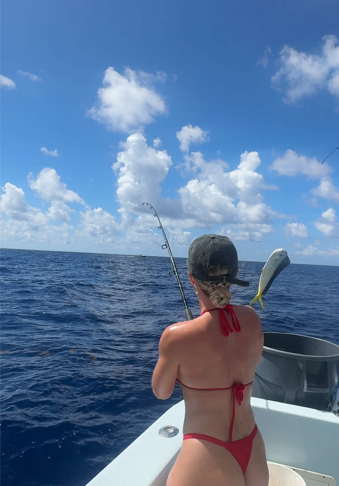 Fishing a big school of Mahi Mahi! I love when I catch ones that are more blue they’re so pretty!! 👀🎣 Fish tacoooos #fishing #boat #foryou #fishingtrip #fishinglife 