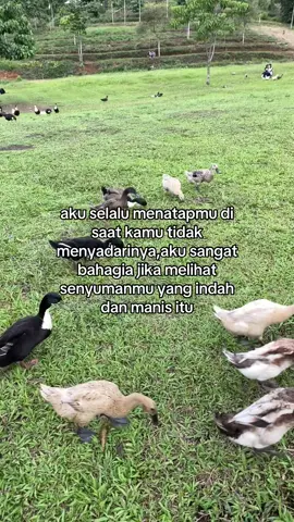 #nadhifbasalamah #penjagahati 