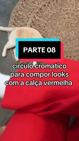 PARTE 08 | aprendendo a criar looks com circulo cromatico e testando combinações com a calça vermelha #moda #ia #circulocromatico #outfit