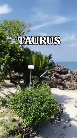 #CapCut #taurus 