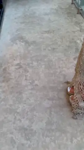 #nataliatellez #hermosa #conductoradetv #sexy 