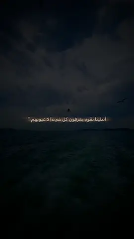#ابتليــــنا بقوم يعــــرفون ڪل شي إلا عيــــوبهہم❥. #unfrezzmyaccount  #capcut  #هاشتاقات_تيك_توك_العرب 