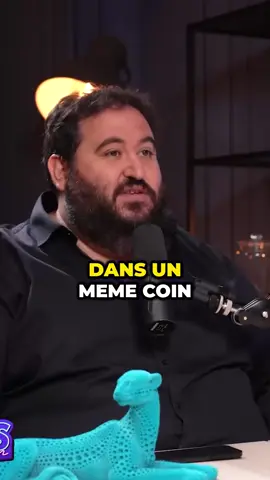 Les fraudes des meme coins