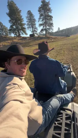 Bringing the horses into camp!  (don’t mind the 🍗 at the end 😂) #western #horses #cowboy #roundup #cowpoke 