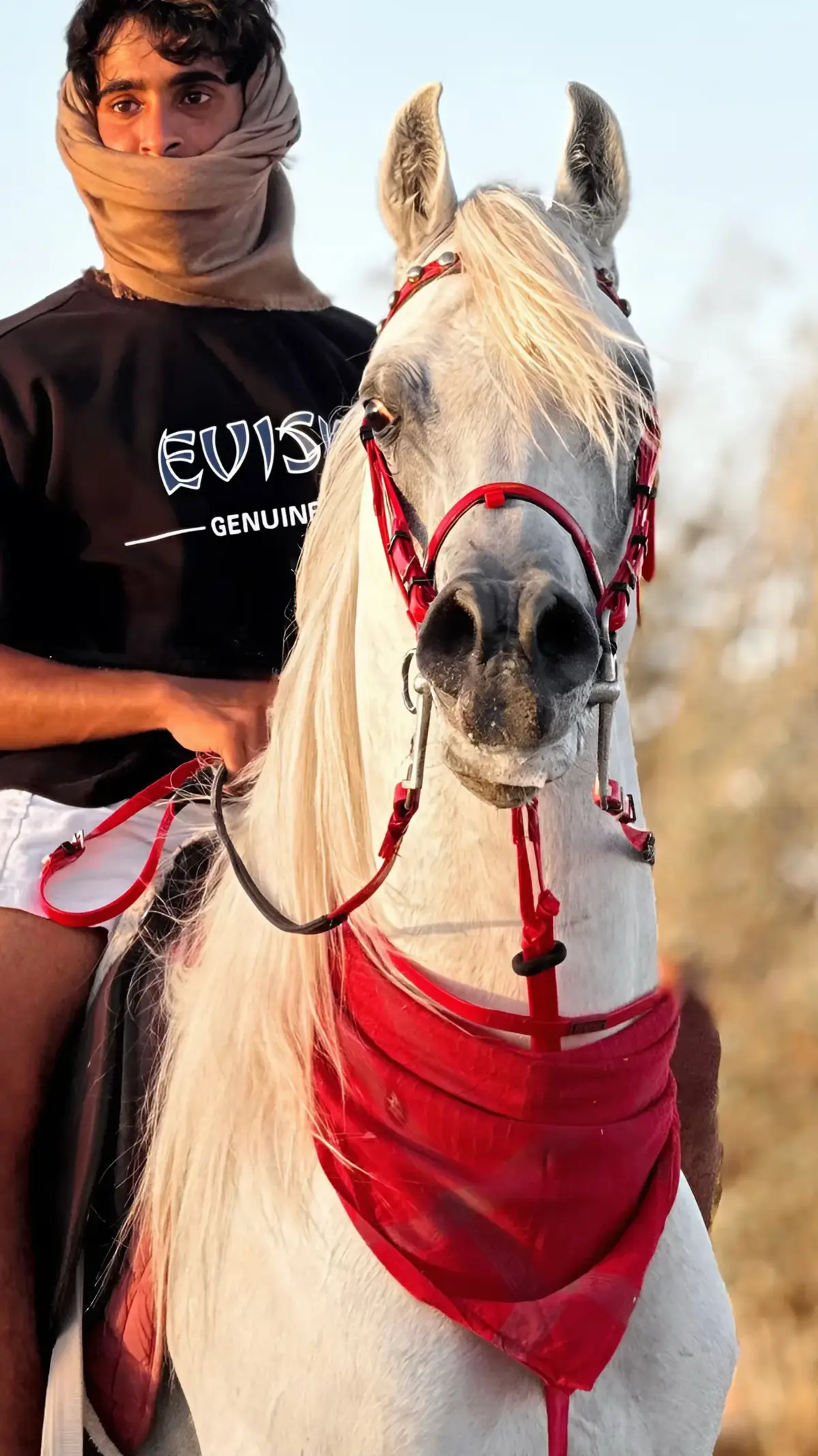 #اوسكار_المسحر🤍 #مربط_العسلي #ماشاءاللہ #explore #خيل_وخياله🐎 