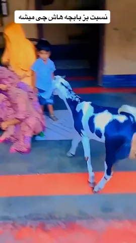 اكسسسسبلور #اكيسسسسسسبلوررر 