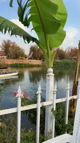 #غابات_الموصل #تصويري📷 #مالي_خلق_احط_هاشتاقات🧢 #الشعب_الصيني_ماله_حل😂😂 #تصويري_احترافي_الاجواء👌🏻🕊😴 