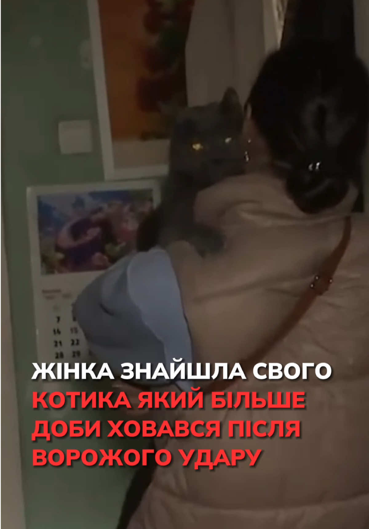 Жінка знайшла котика Барсика, який більше доби ховався після ворожого удару по будинку під Києвом Джерело: ТСН ___ Слідкуй за @mezha_net #новиниукраїна #порятунок #україна #війна #київ