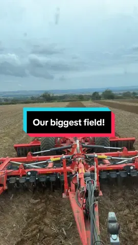 optimers making light work of it #farmer #tractor #farming #fyp #wheat 
