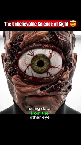 Vision Secret: 5 Facts That Will Blow Your Mind! #eye #biology #biology 