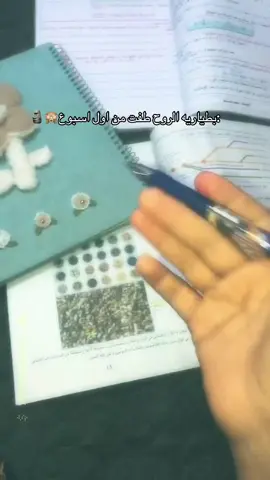 خرب طار العفاء#دراسة #tiktok #fyp #اغاني #محمد_السالم 